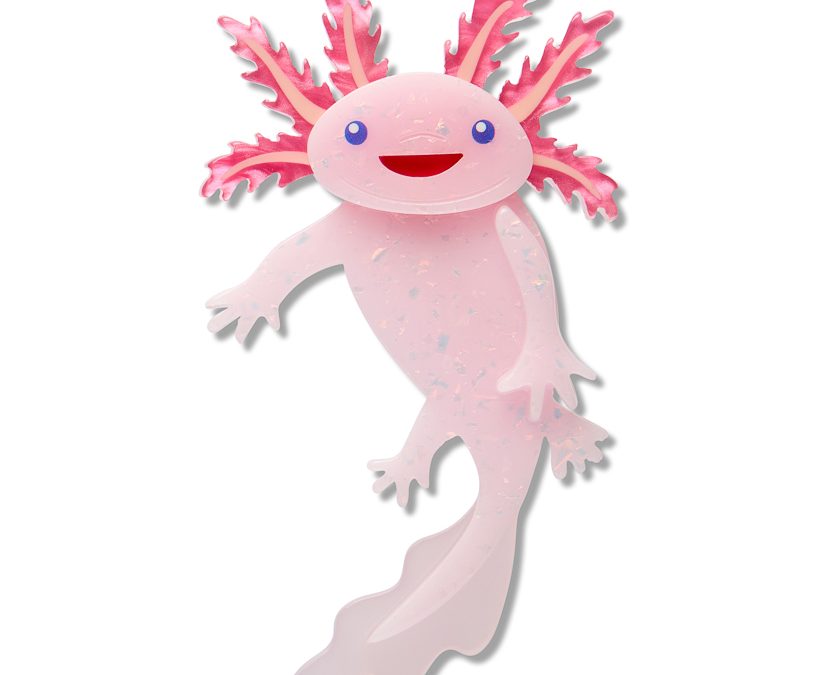 Axolotl