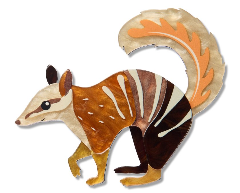 Numbat