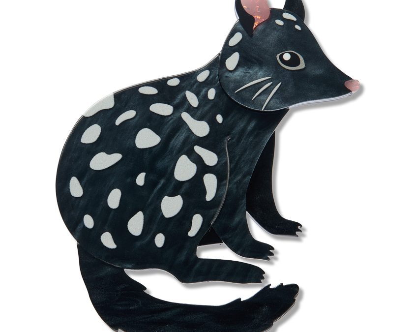 Eastern Quoll
