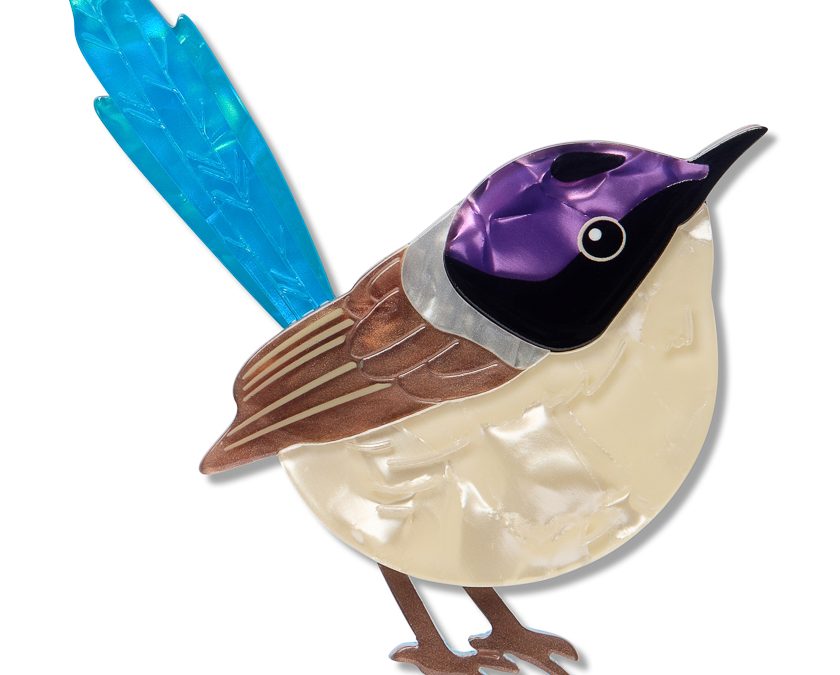 Purple Crowned Fairy Wren