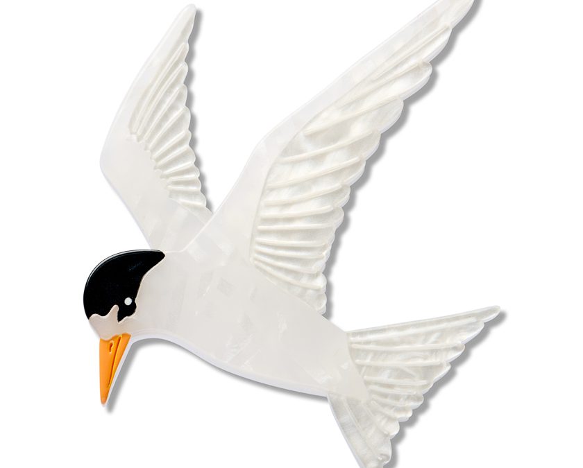 New Zealand Fairy Tern