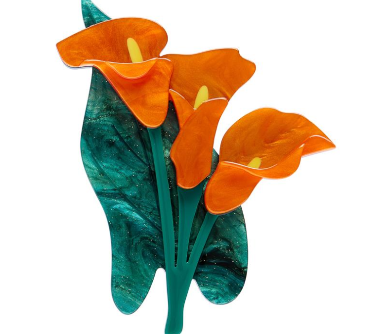 Beauty Blooms