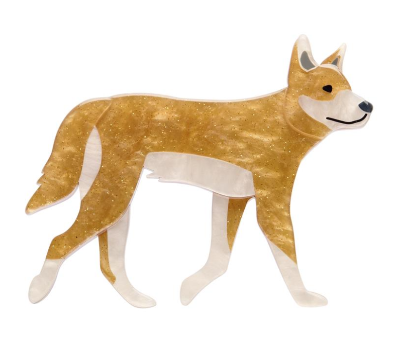 Dave The Dingo