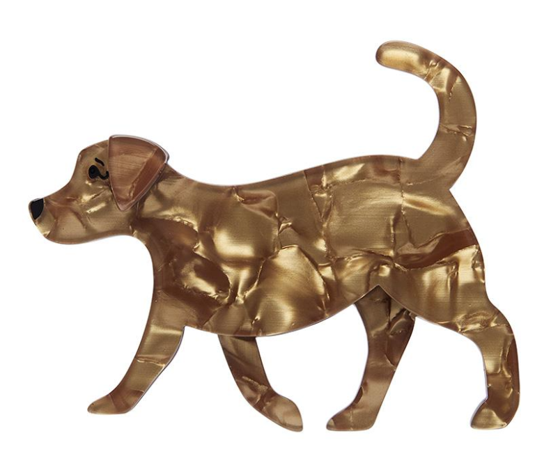 Goldie Fawn 2025