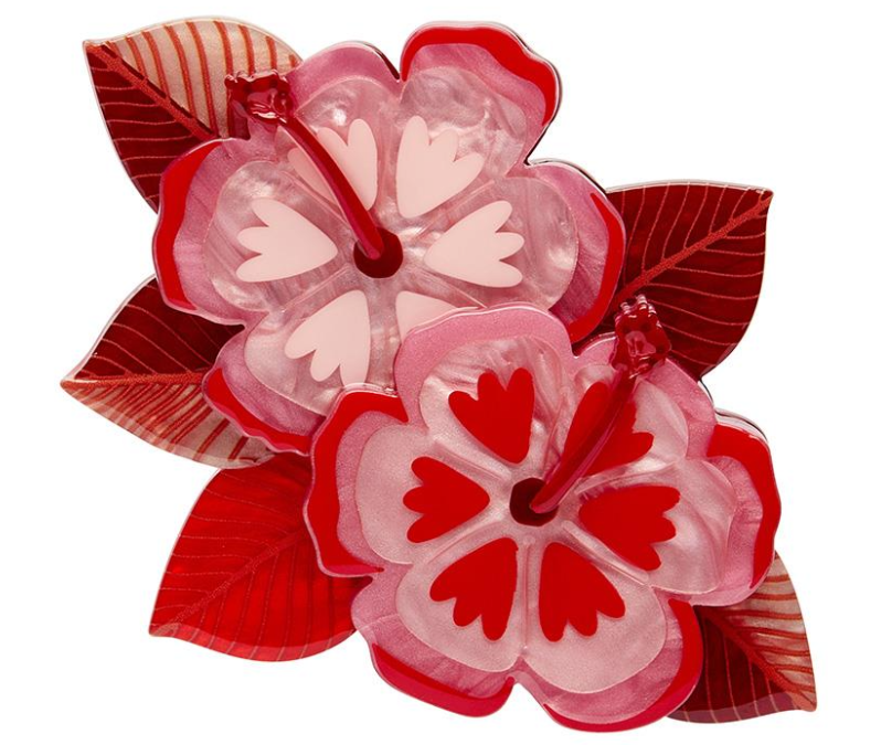 Halcyon Hibiscus 2025