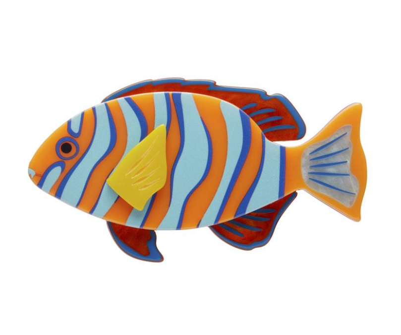 Harlequin Tuskfish