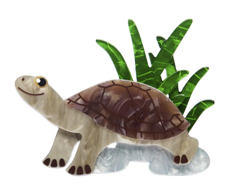 Rheo The River Turtle